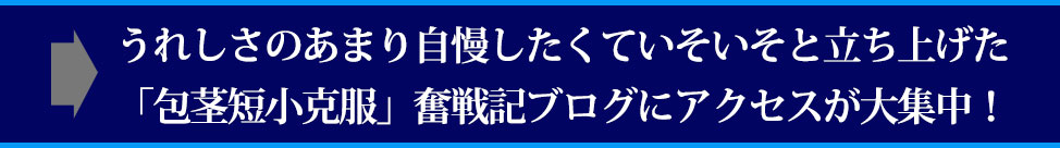 ���܂��܌��J�����A�����g�̕�s�E�Z���E���R�����̋L���ɃA�N�Z�X����W���I