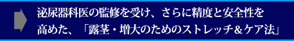 ��A��Ȉ�̃A�h�o�C�X��������A����Ƀp���[�A�b�v�����G�N�T�T�C�Y���j���[